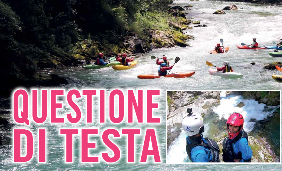 questioneditesta.PNG